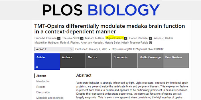 TMT-Opsins differentially modulate medaka brain function in a context-dependent manner